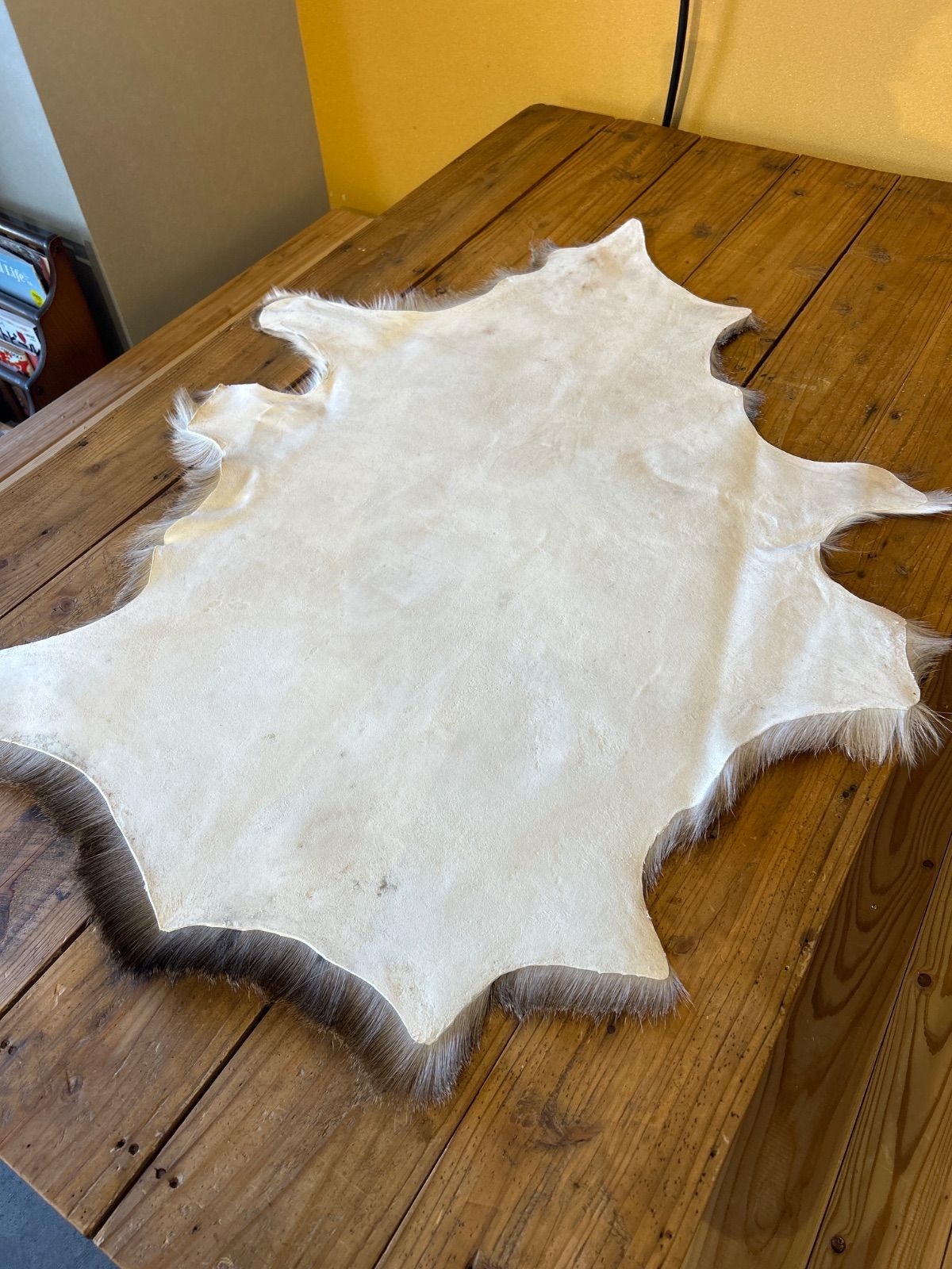 鹿の毛皮 ラグ敷物 毛革 鹿革 鹿11 ブッシュクラフト 野営 キャンプ