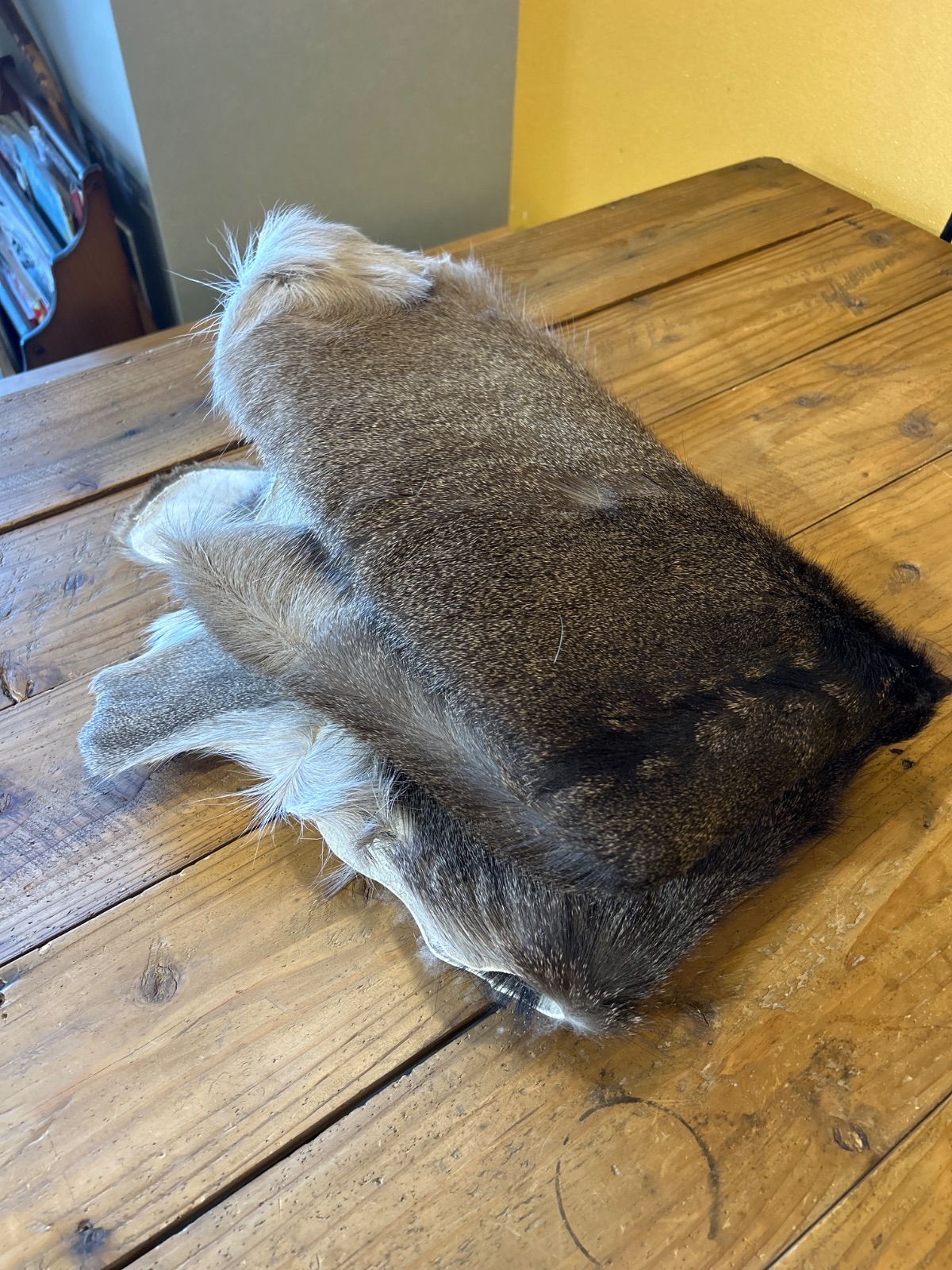 鹿の毛皮 ラグ敷物 毛革 鹿革 鹿12 ブッシュクラフト 野営 キャンプ