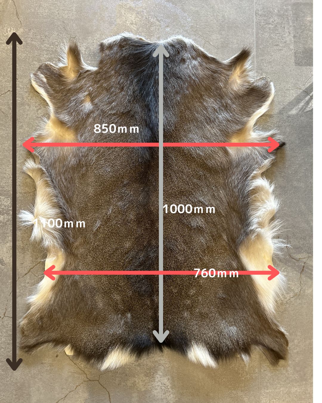 鹿の毛皮 ラグ敷物 毛革 鹿革 鹿13 ブッシュクラフト 野営 キャンプ
