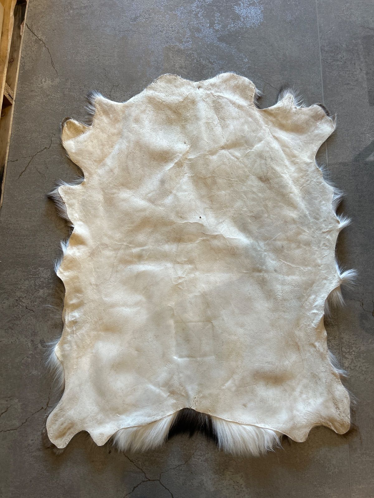 鹿の毛皮 ラグ敷物 毛革 鹿革 鹿13 ブッシュクラフト 野営 キャンプ