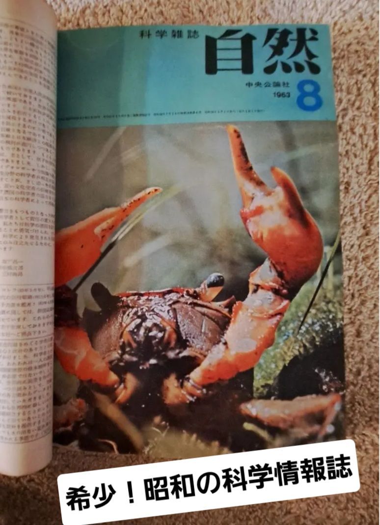 希少！昭和の科学雑誌 「自然」中央公論社 1963年7月～12月号 全6冊