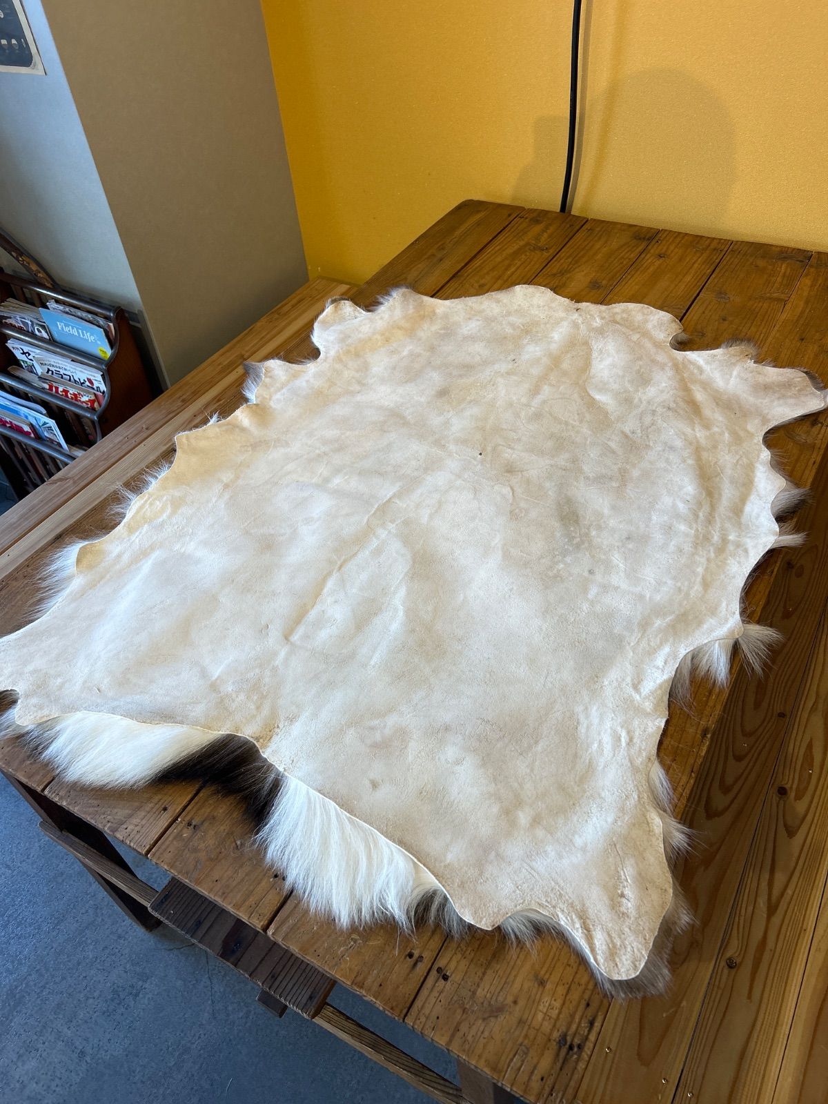 鹿の毛皮 ラグ敷物 毛革 鹿革 鹿13 ブッシュクラフト 野営 キャンプ
