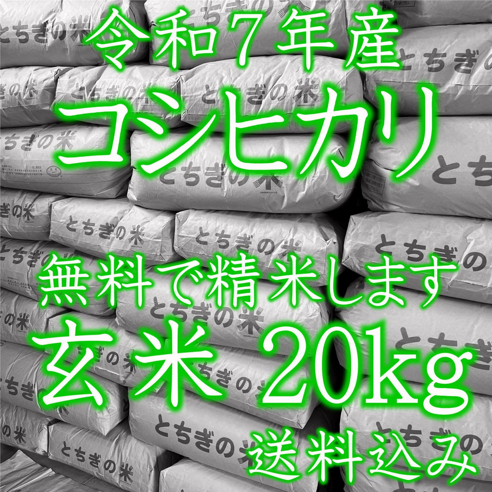 令和7年収穫 石川県産 コシヒカリ 玄米20kg 【公式通販】
