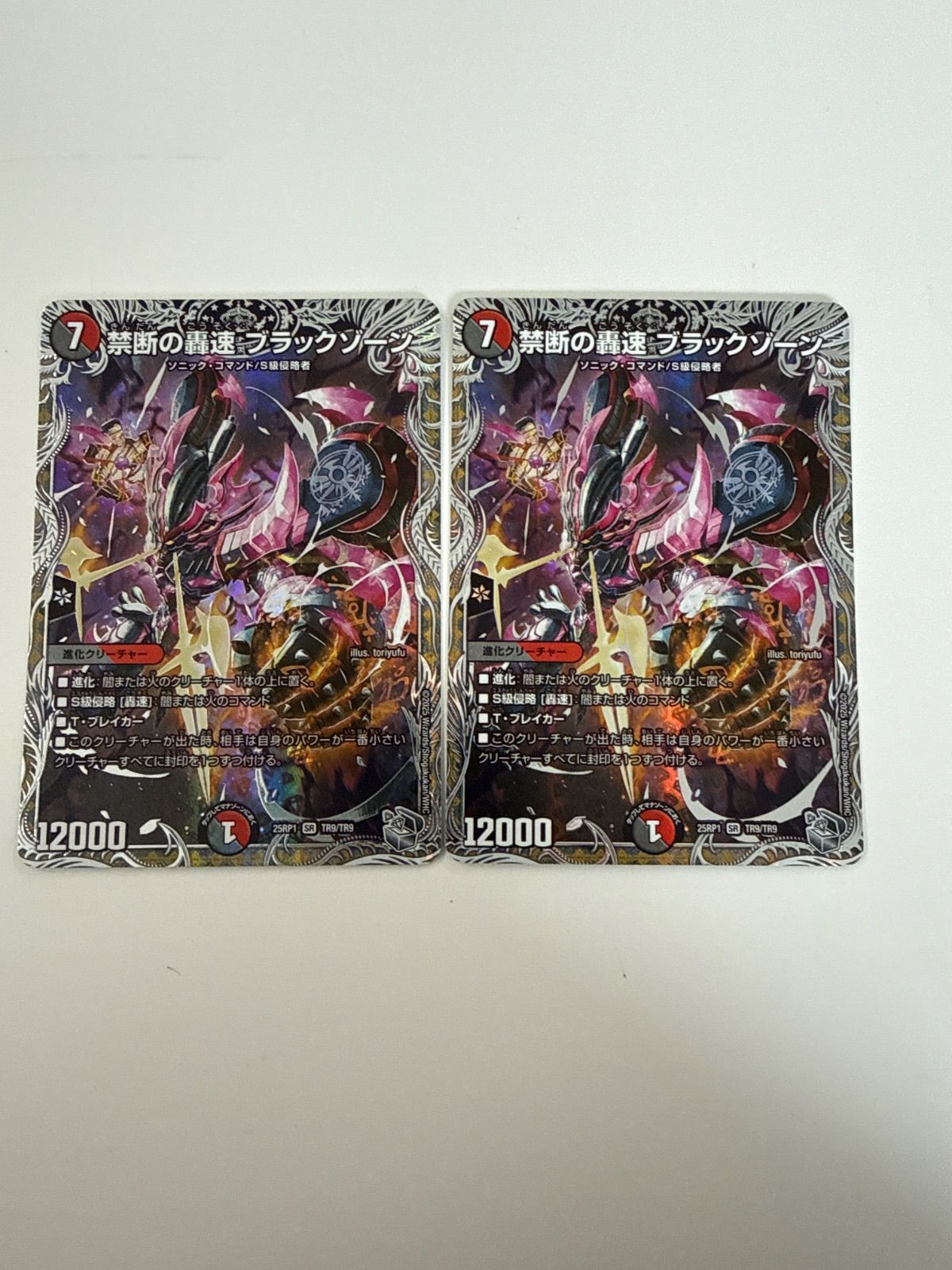 デュエルマスターズ 禁断の轟速ブラックゾーン 銀トレジャー 2枚