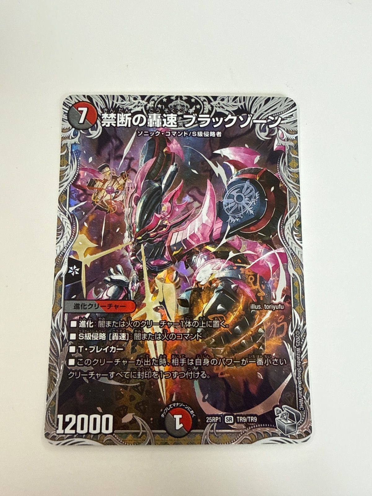 デュエルマスターズ 禁断の轟速ブラックゾーン 銀トレジャー 2枚