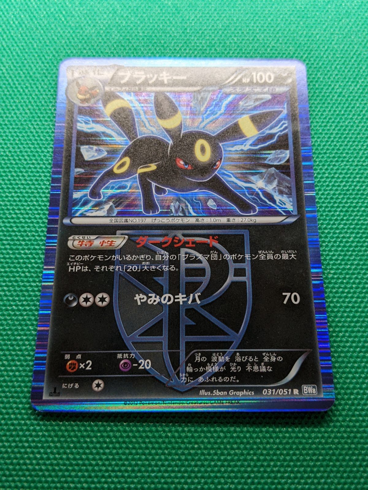 ポケモンカード ブラッキー 031/051 BW8 ライデンナックル - メルカリ