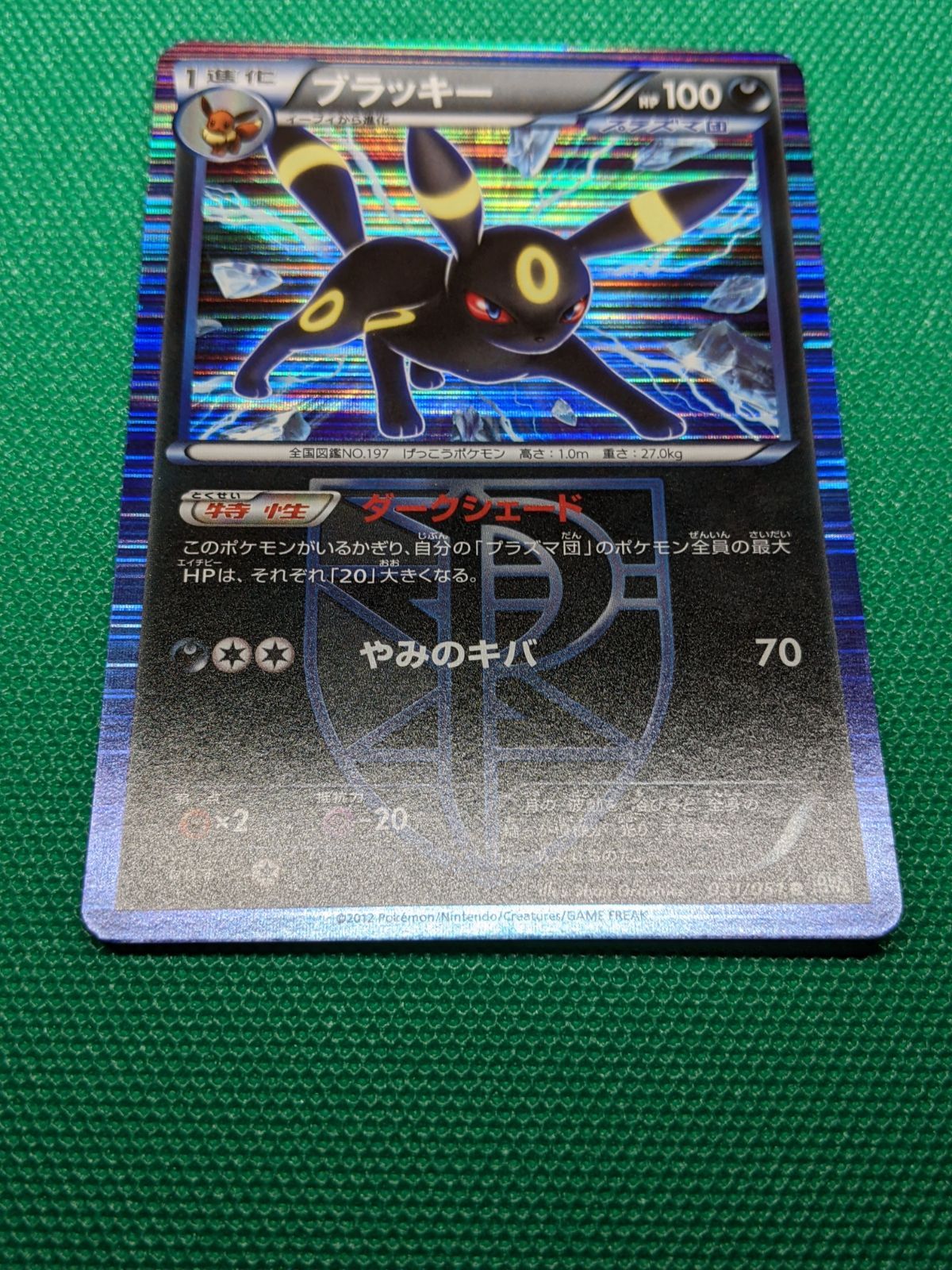 ポケモンカード ブラッキー 031/051 BW8 ライデンナックル - メルカリ