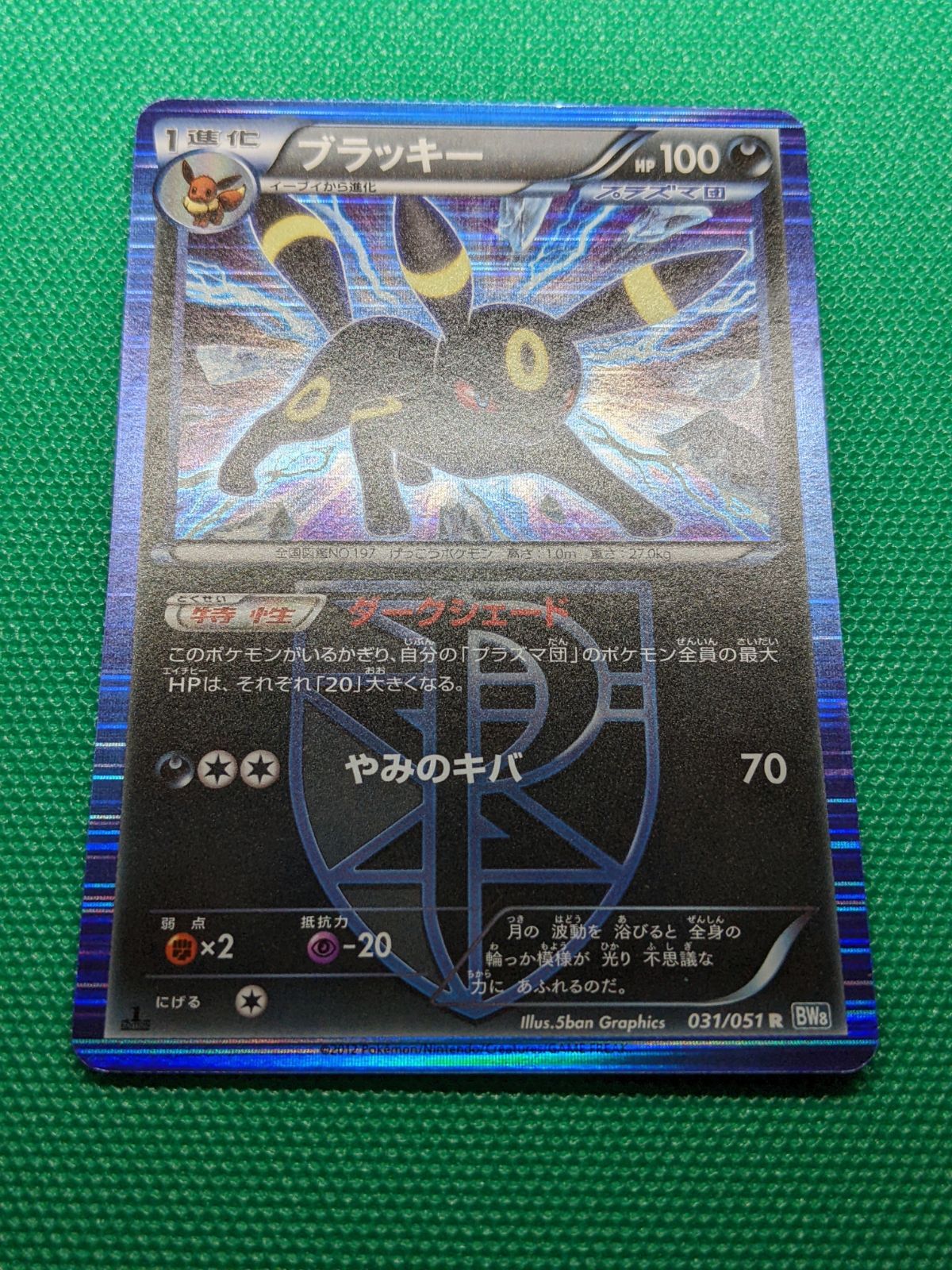ポケモンカード ブラッキー 031/051 BW8 ライデンナックル - メルカリ