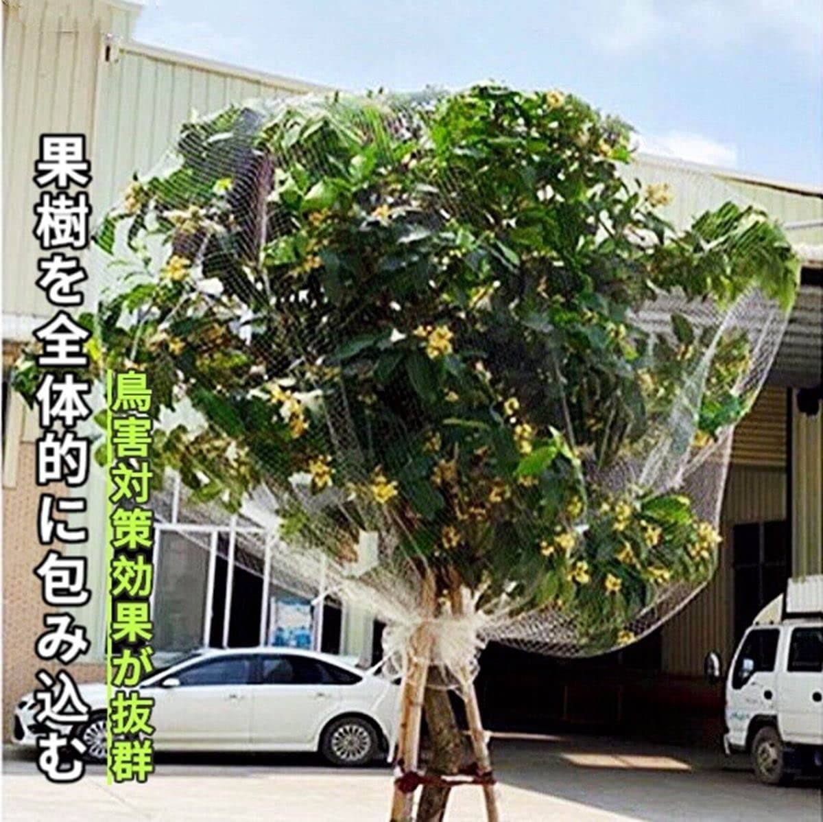 防鳥 園芸 ネット 獣害 防鳥 ネット 鳥よけネット園芸つるネット 農業 