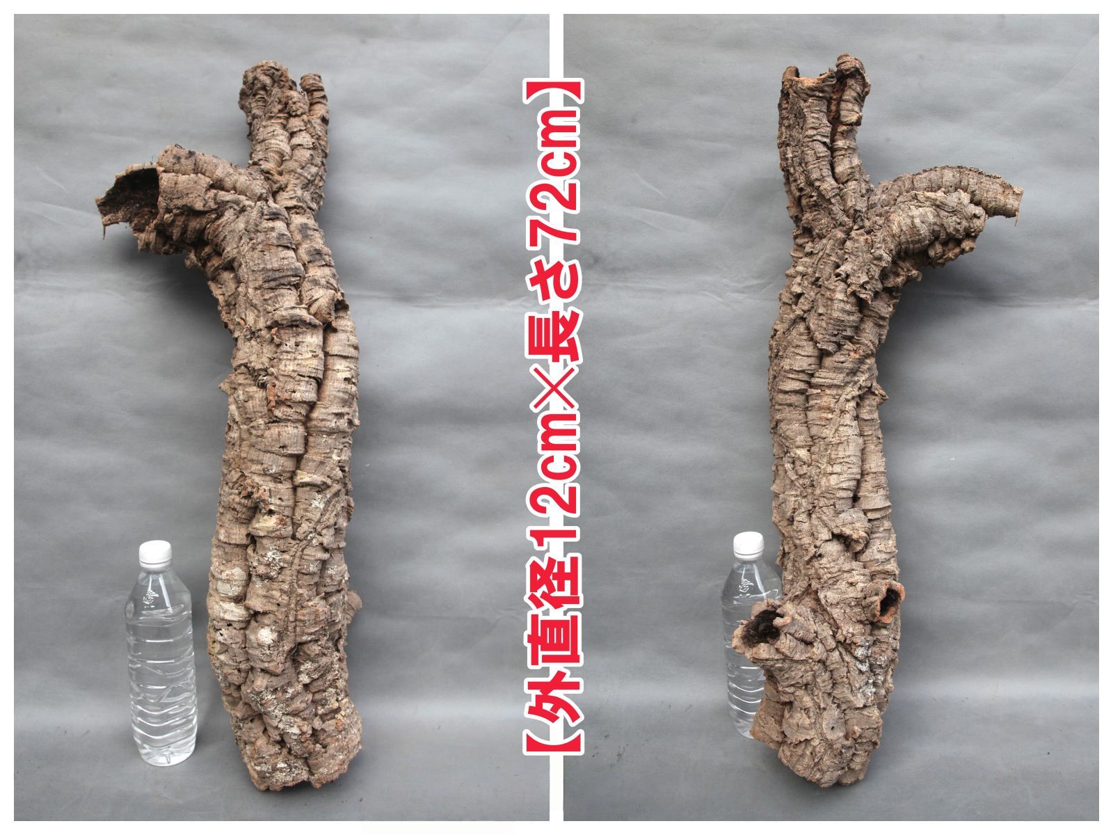 W610 ポルトガル産 キャノンコルク コルク樹皮 コルク板 バージン