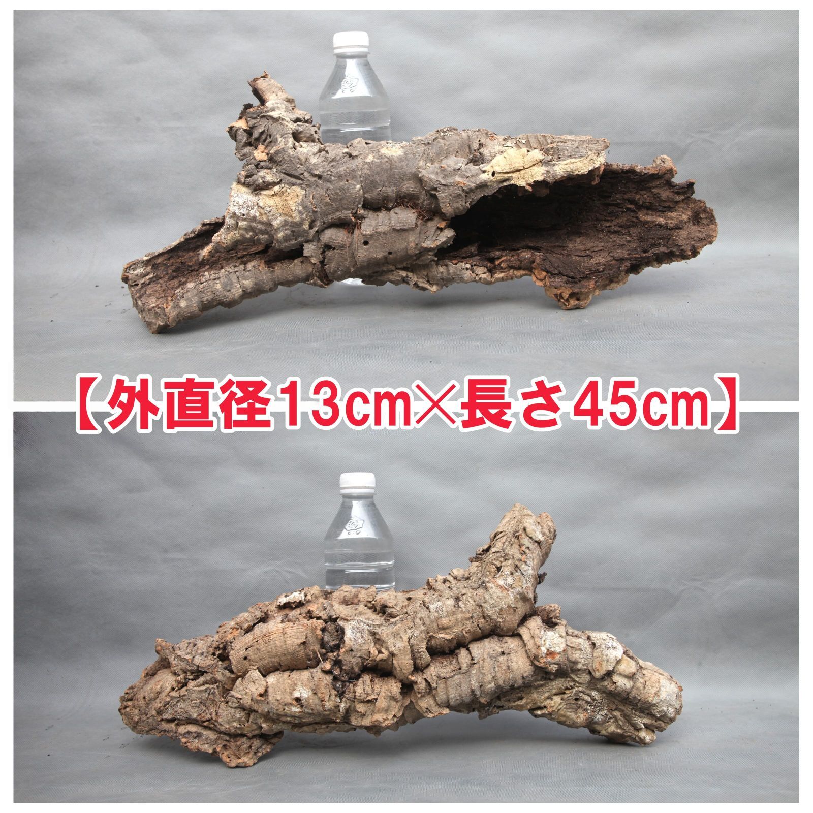 W605 ポルトガル産 キャノンコルク コルク樹皮 コルク板 バージン