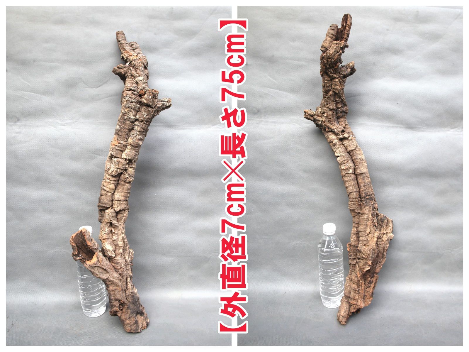 W609 ポルトガル産 キャノンコルク コルク樹皮 コルク板 バージン