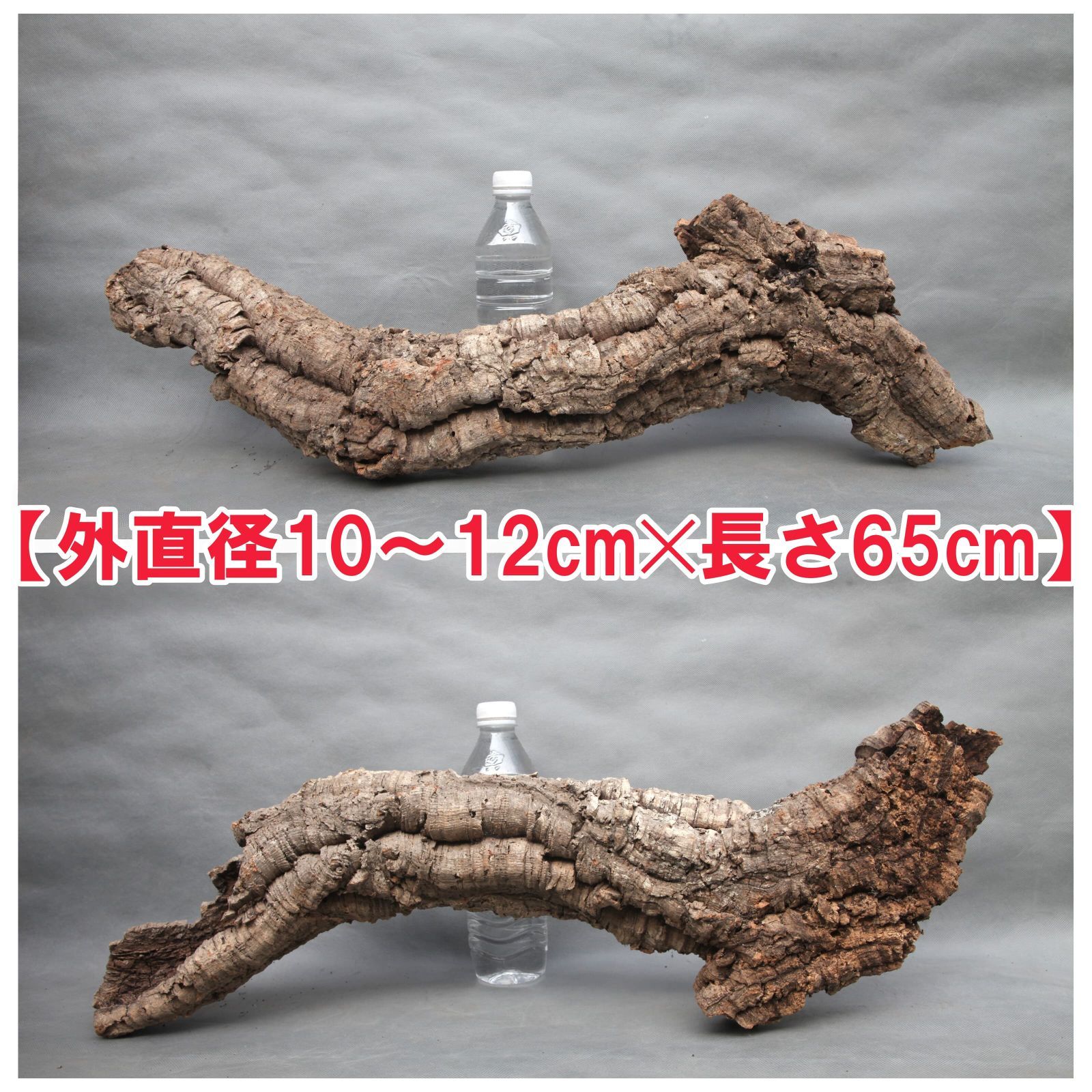 W606 ポルトガル産 キャノンコルク コルク樹皮 コルク板 バージン