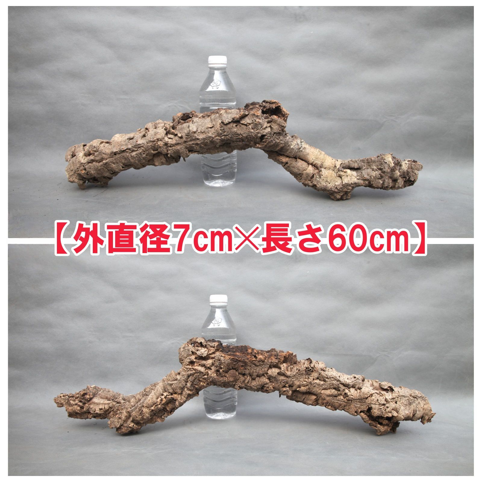 W603 ポルトガル産 キャノンコルク コルク樹皮 コルク板 バージン