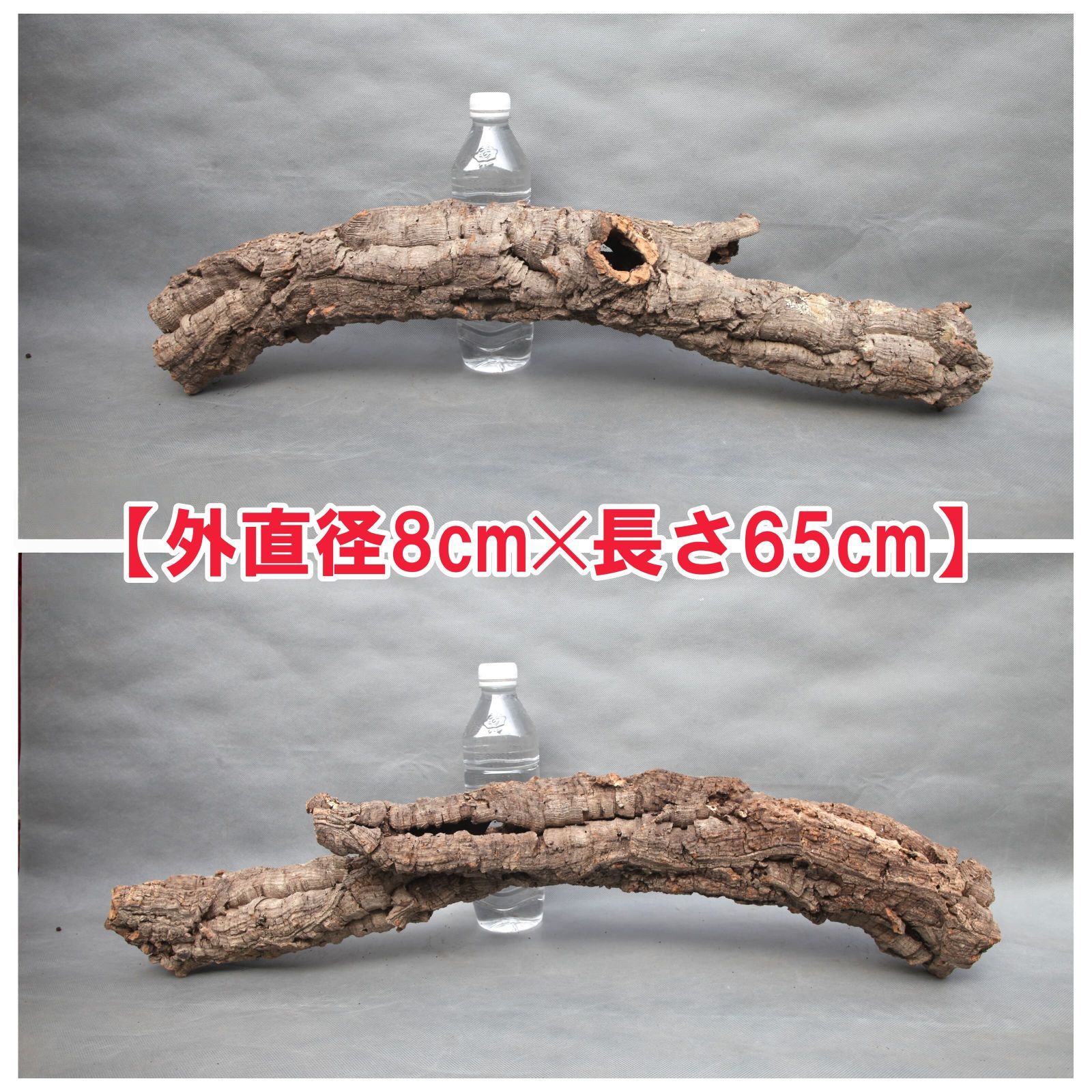 W600 ポルトガル産 キャノンコルク コルク樹皮 コルク板 バージン