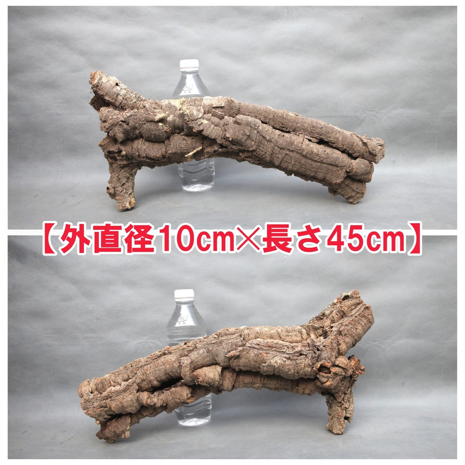 W601 ポルトガル産 キャノンコルク コルク樹皮 コルク板 バージン