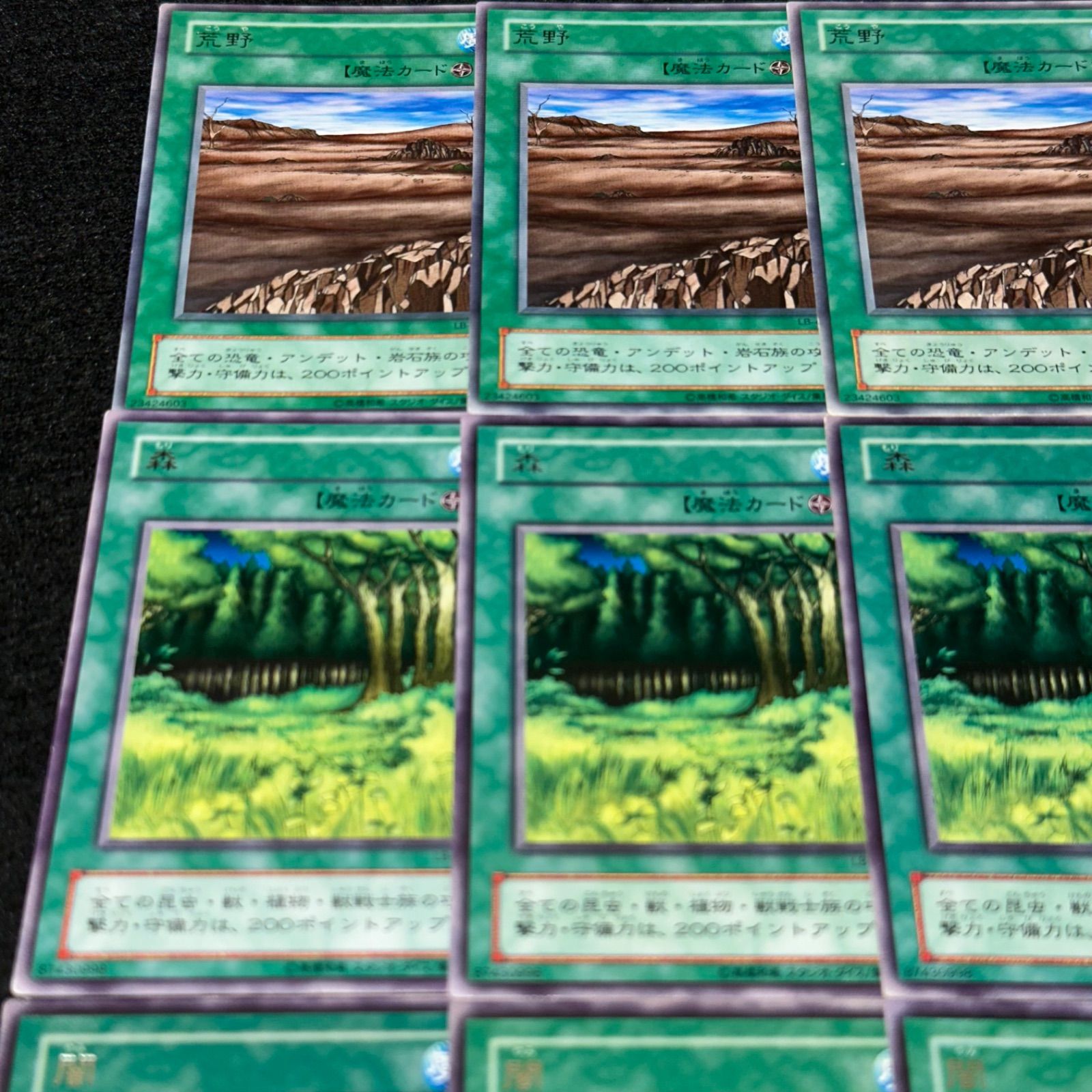 遊戯王】No.4576 2期字レア 荒野 森 闇 草原 各3枚 計12枚 - メルカリ