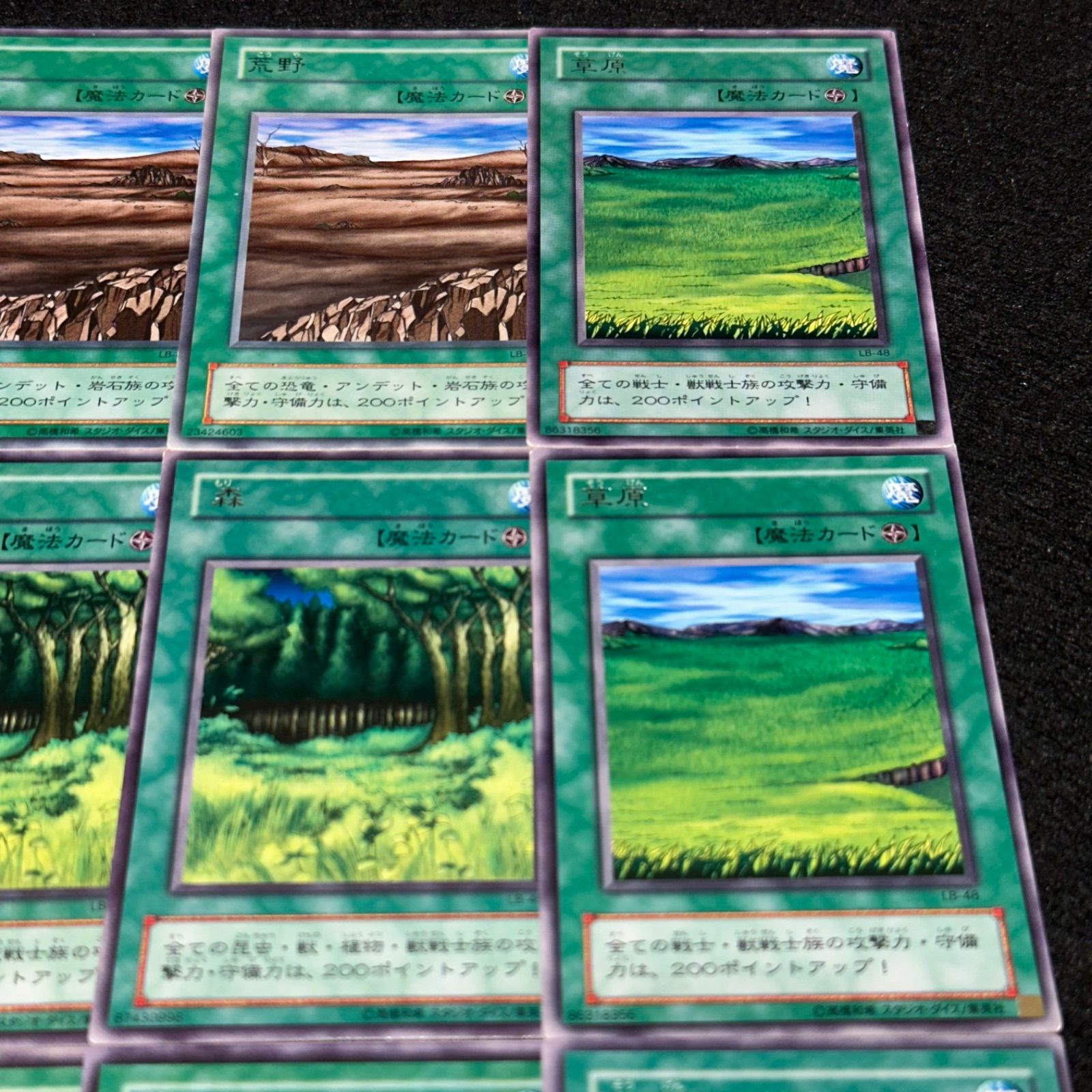 遊戯王】No.4576 2期字レア 荒野 森 闇 草原 各3枚 計12枚 - メルカリ