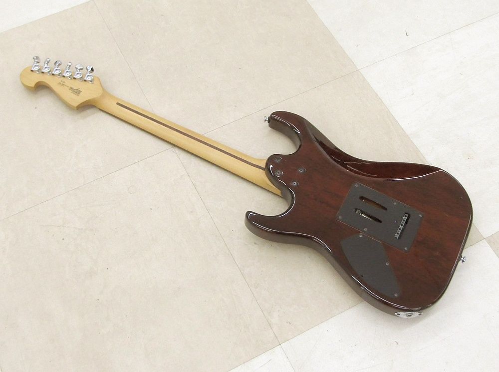 Washburn ワッシュバーン X-Series X-33 Buzz Feiten Tuning System