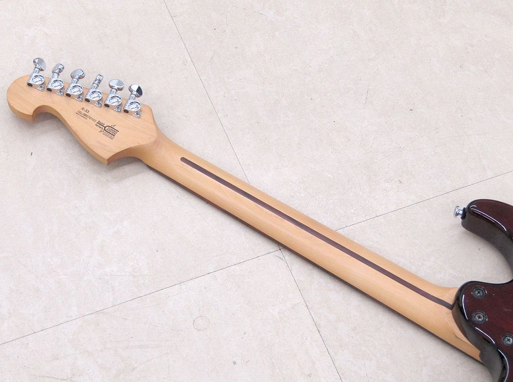 Washburn ワッシュバーン X-Series X-33 Buzz Feiten Tuning System