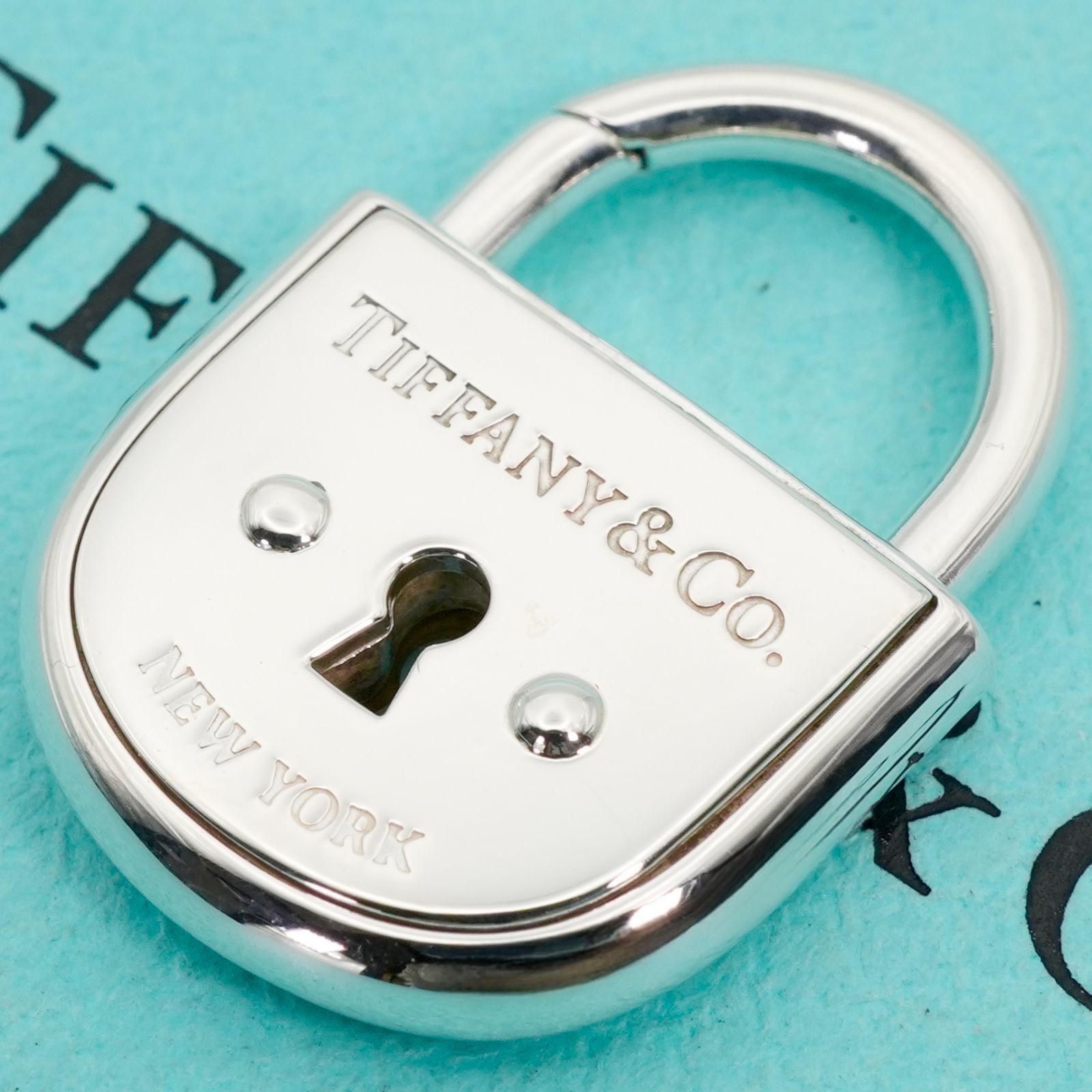 希少極美品 ティファニー アーク ロック カデナ チャーム/25-3228