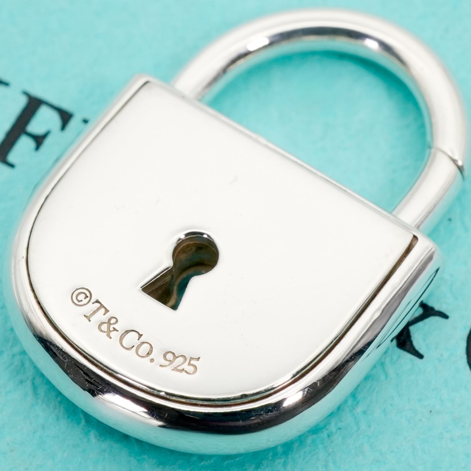 希少極美品 ティファニー アーク ロック カデナ チャーム/25-3228