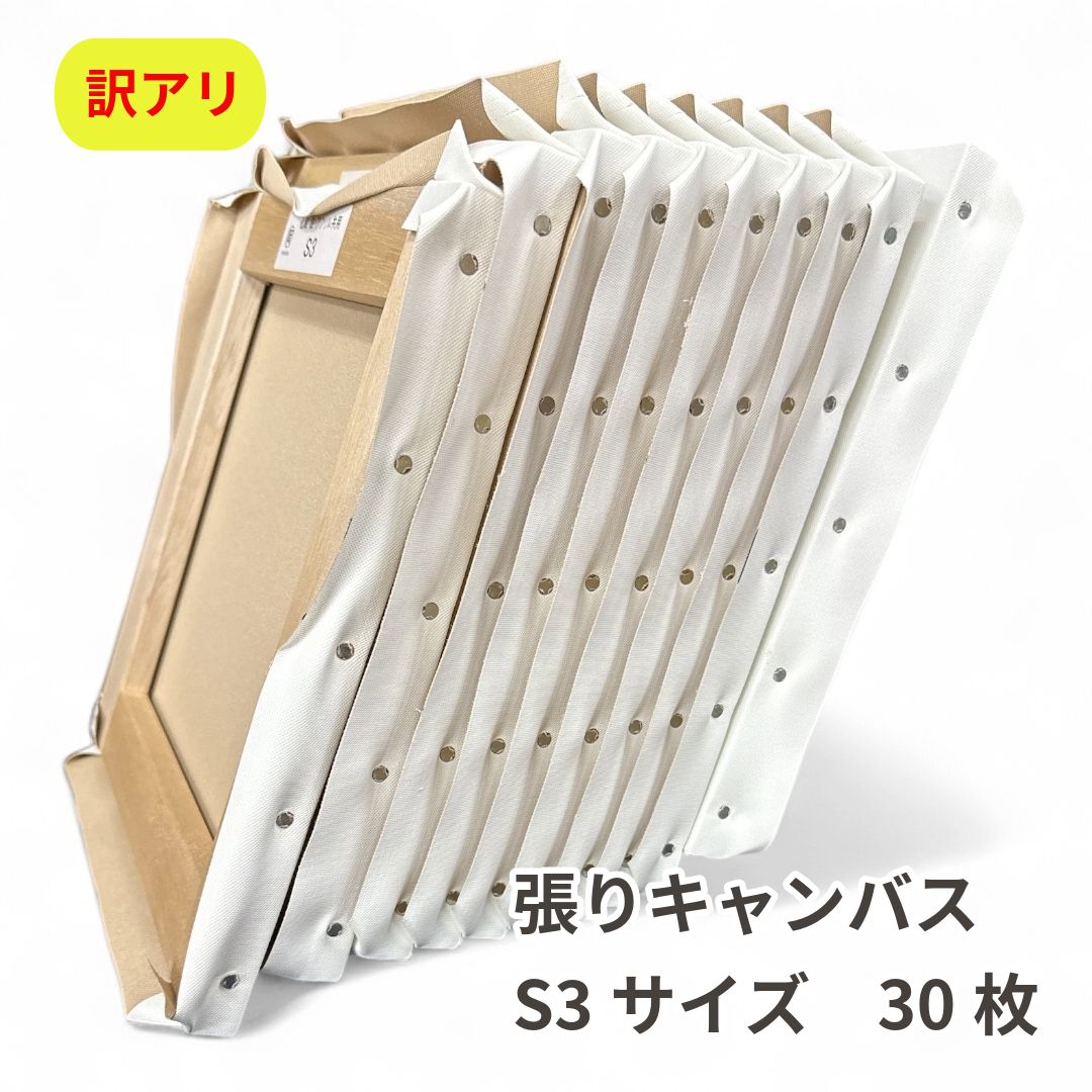 【訳アリ・練習用】張りキャンバス29枚　S3サイズ