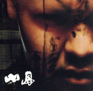 パンキッシュ・ロック・フューチャー 【CD、音楽 中古 CD】レンタル