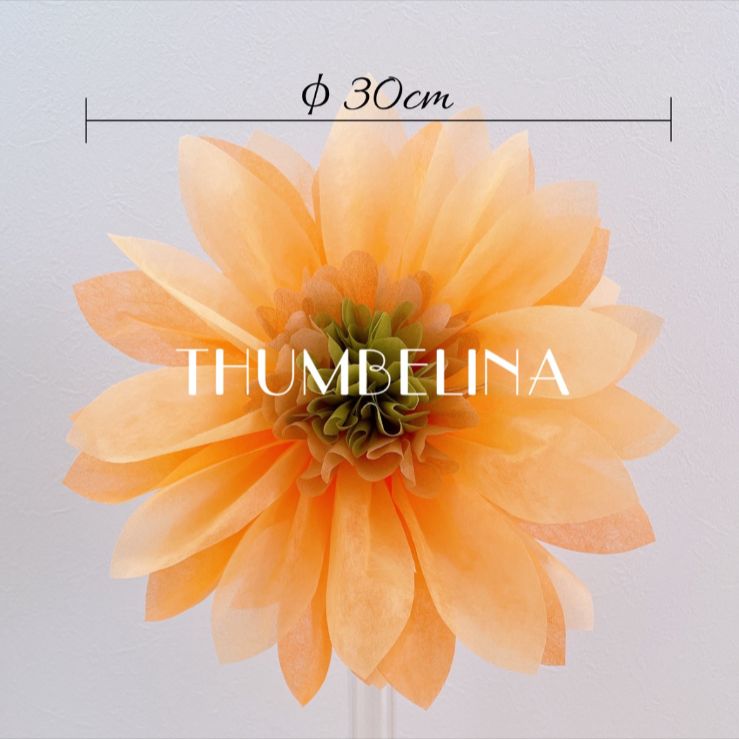 キキ様専用ページ - メルカリ