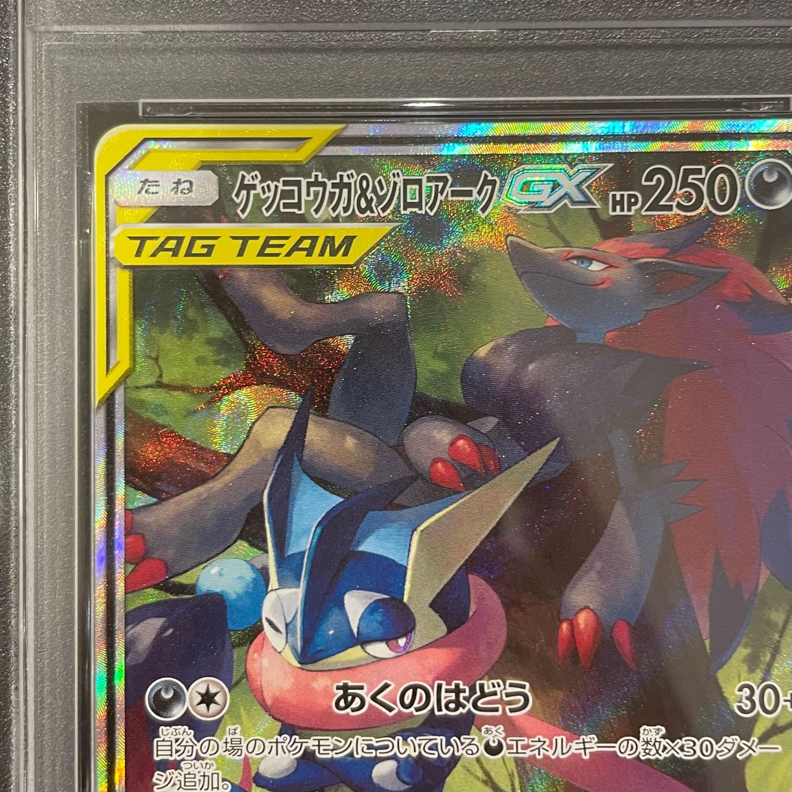 PSA10】ゲッコウガ＆ゾロアークGX SR 059/055 1枚 - メルカリ
