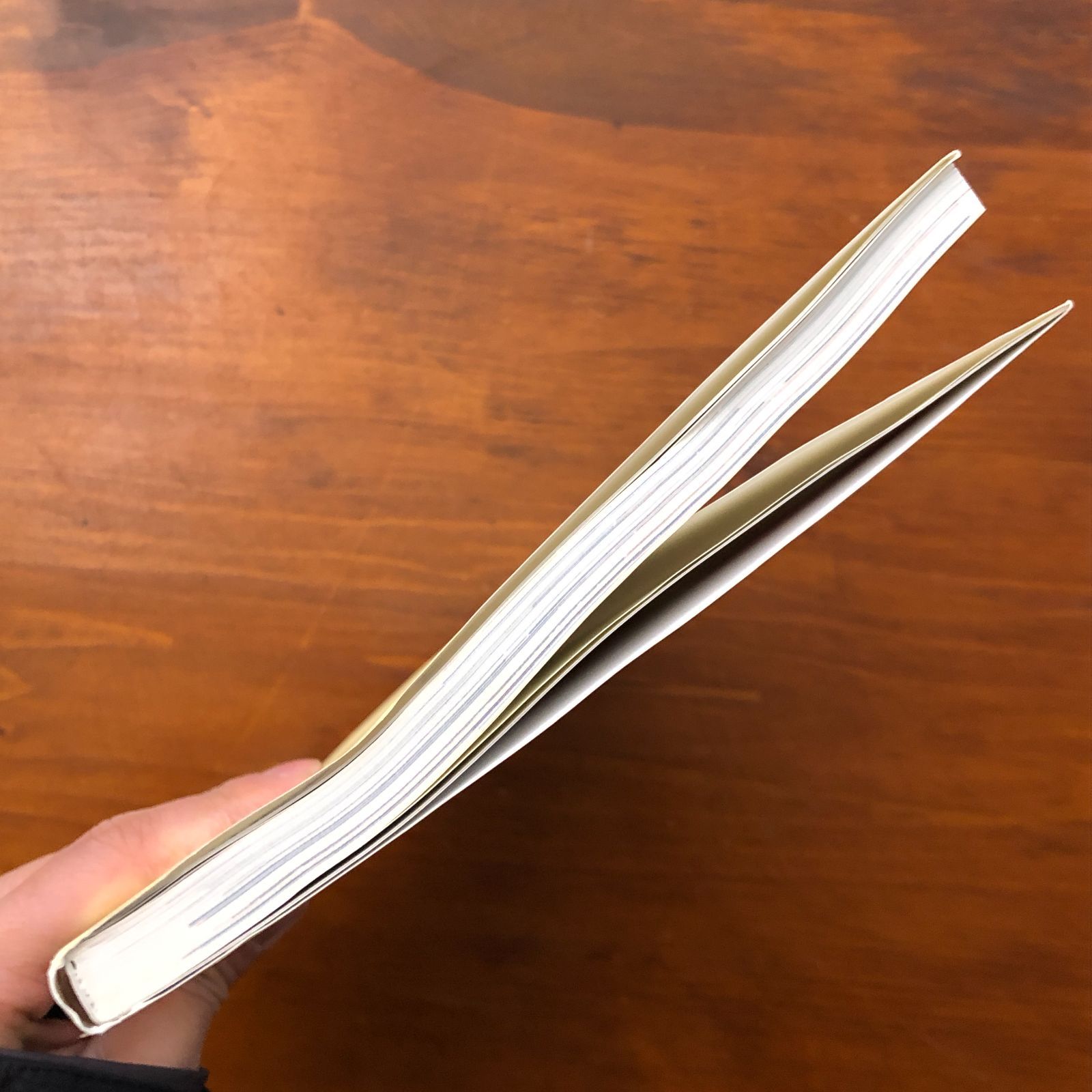 使える皮弁術 上巻 適応から挙上法まで 中島龍夫/百束比古 全日本病院