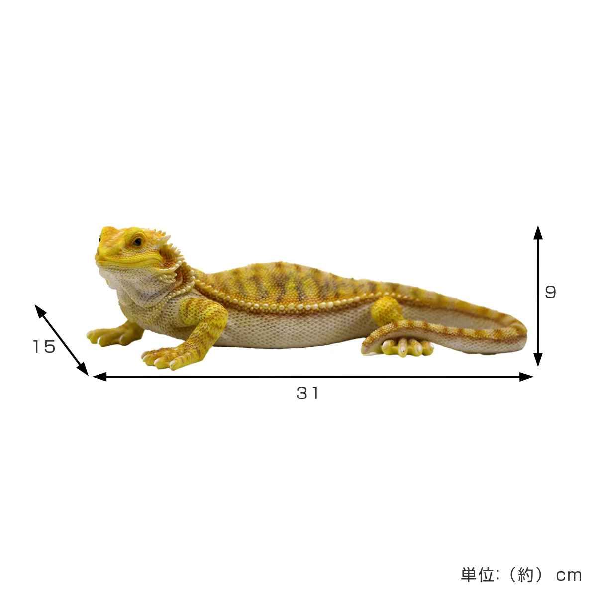 オブジェ フトアゴヒゲトカゲ ペットバンク 貯金箱 （ トカゲ 置物 