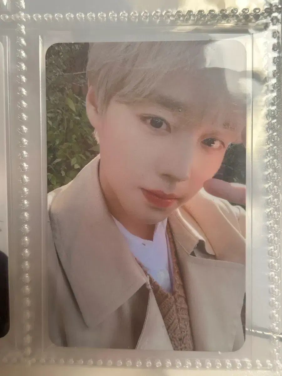 パク・ジフン(PARK JIHOON) 誕生日 トレカ シーグリ シーター トレカ