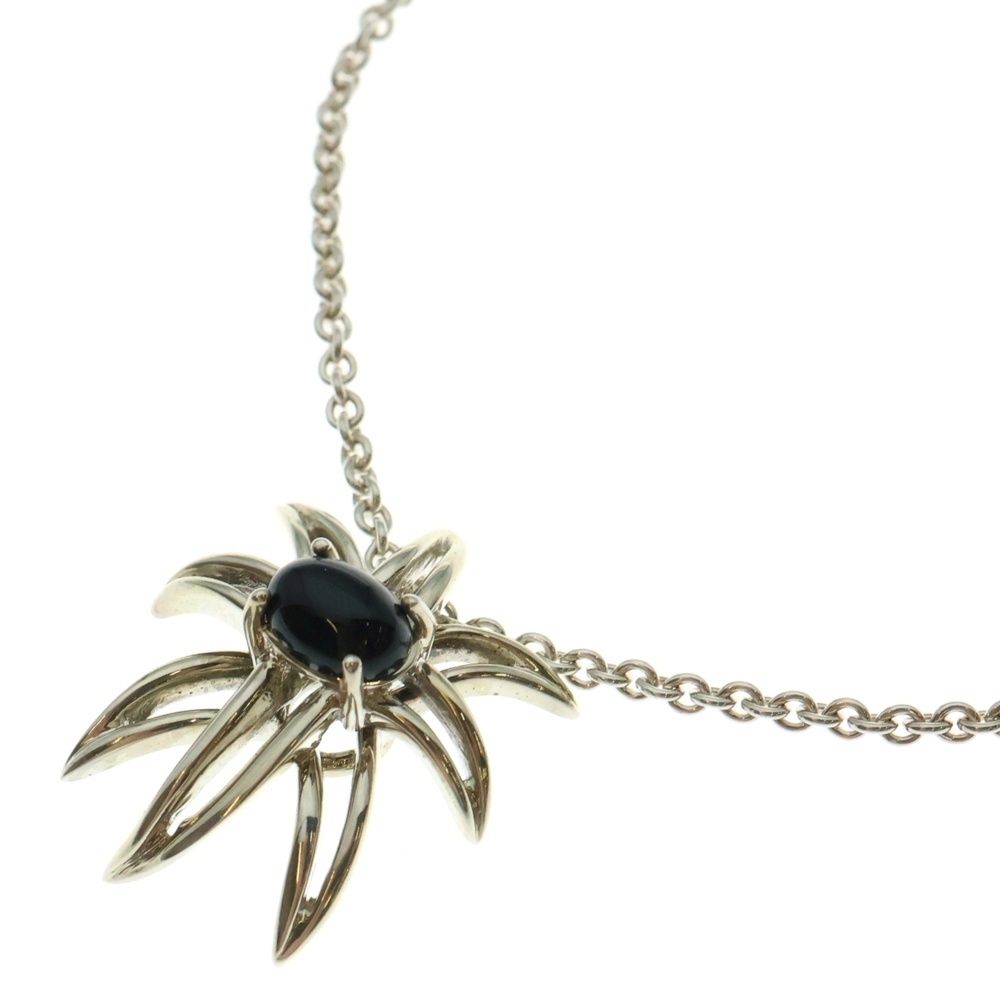 TIFFANY&Co (ティファニー) ファイヤーワークス オニキス ネックレス