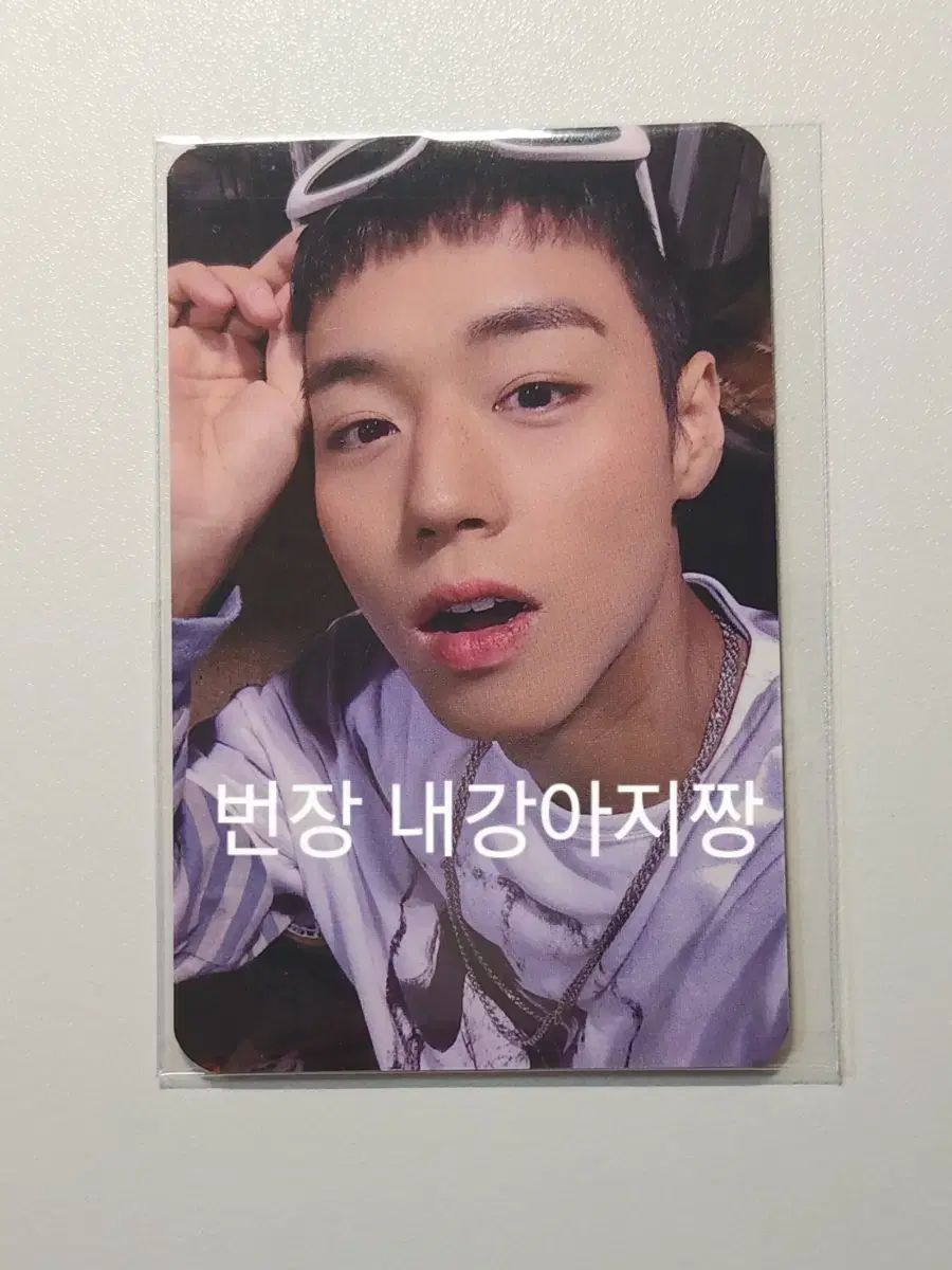 パク・ジフン 2026 シーグリ シーズングリーティング トレカ 未開封