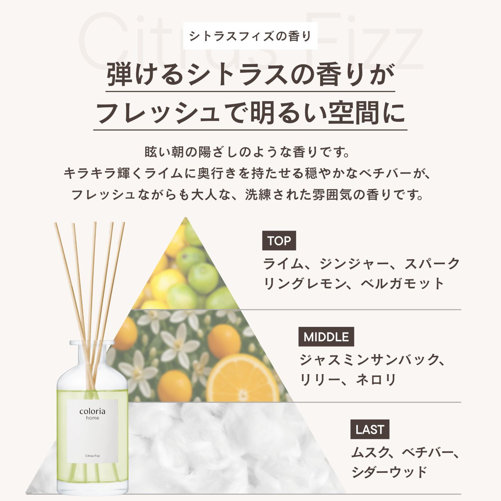 在庫セール】【 ビターなシトラスが好きな方へ 】フレッシュで明るい