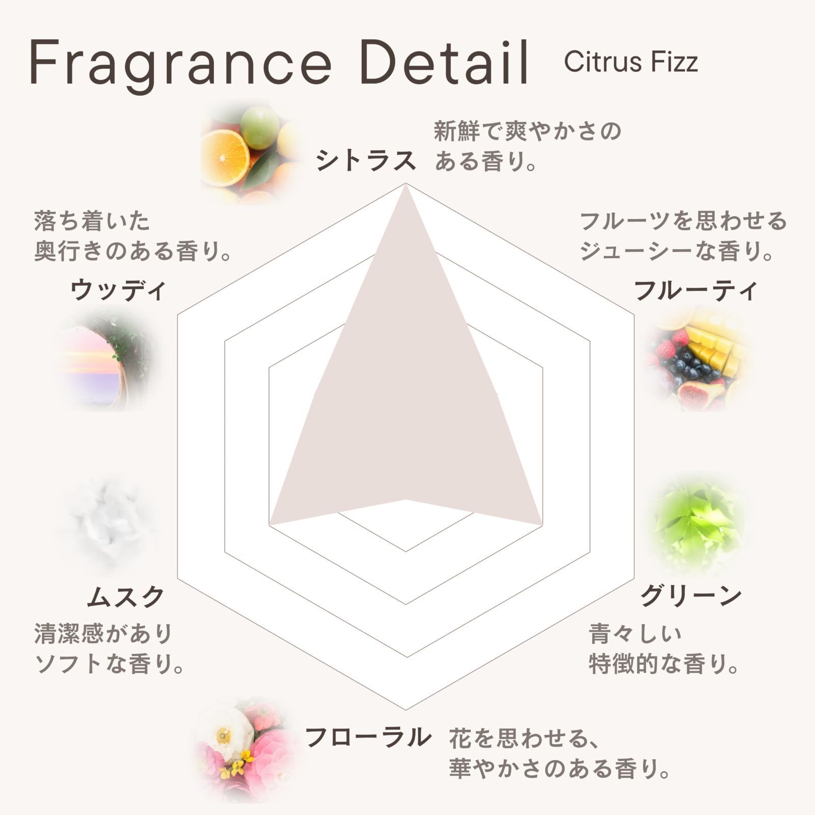 在庫セール】【 ビターなシトラスが好きな方へ 】フレッシュで明るい