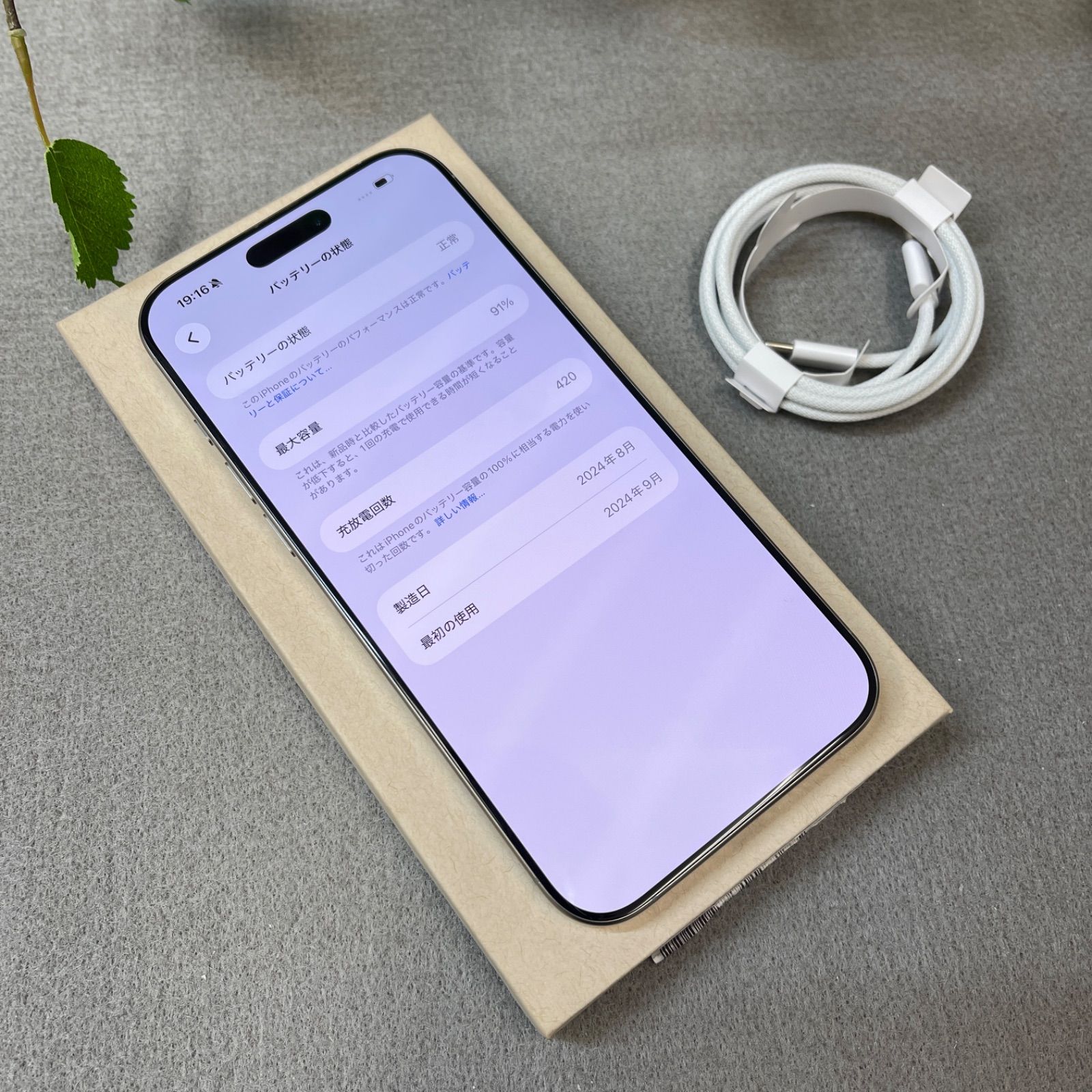 バッテリー:91% iPhone 16ProMax 256GB ナチュラル 国内版 SIMフリー