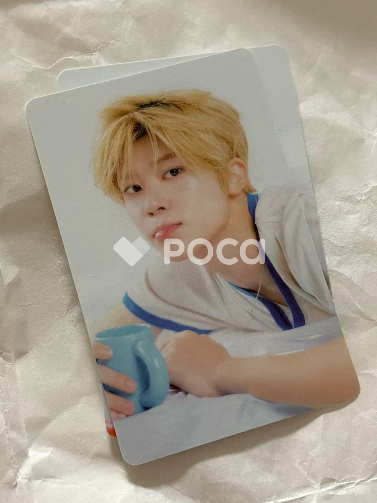NCT シオン 2025 SEASON'S GREETINGS RANDOM TRADING CARD [B ver