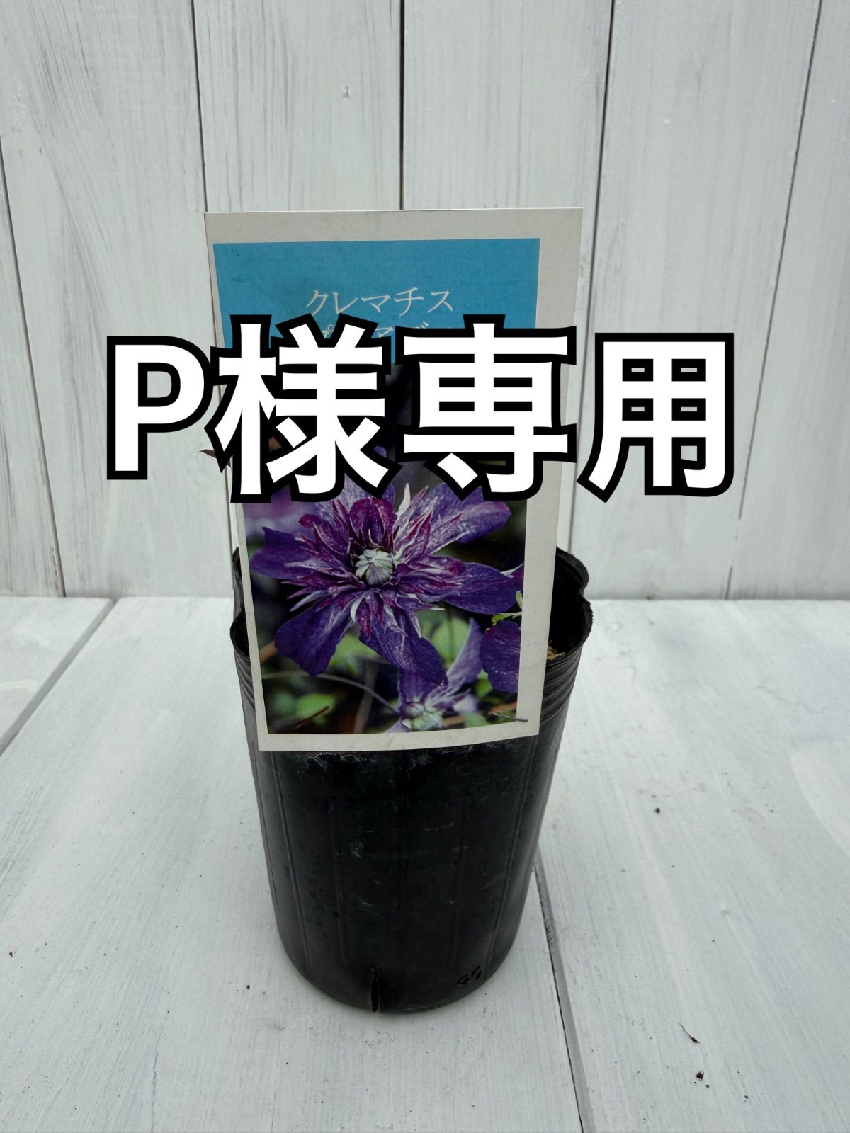 P様専用 - メルカリ