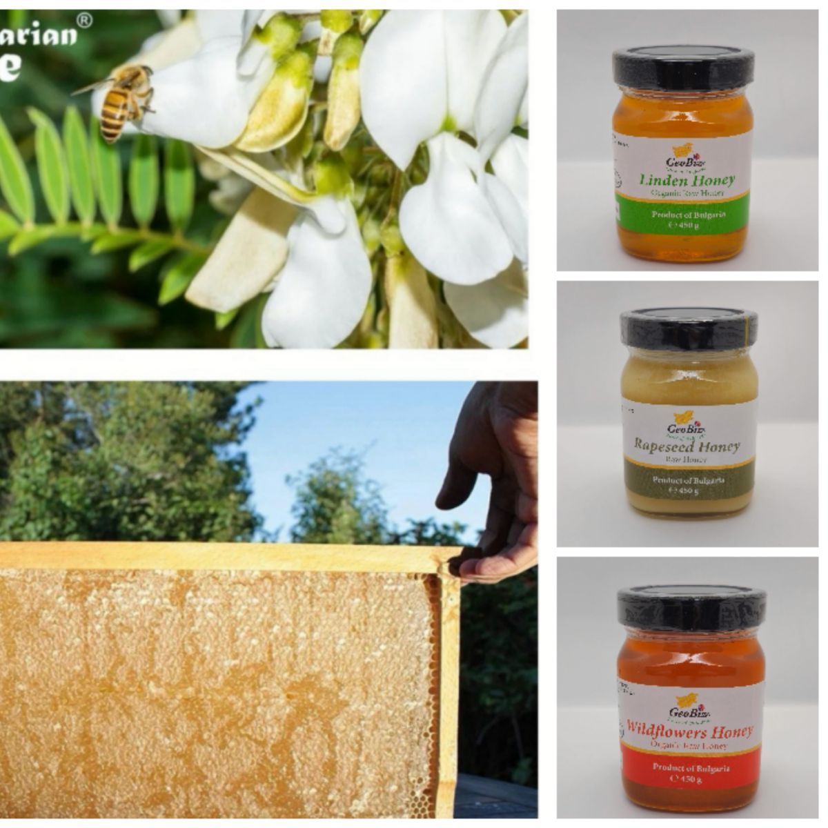 EU認定ブルガリア産オーガニック生はちみつ2種 900g - メルカリ