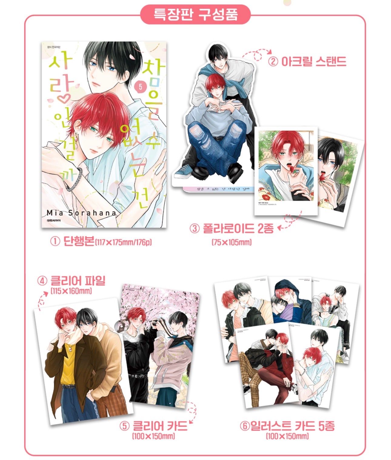 韓国版 漫画 限定版 空華みあ たまらないのは恋なのか 5巻 特装版