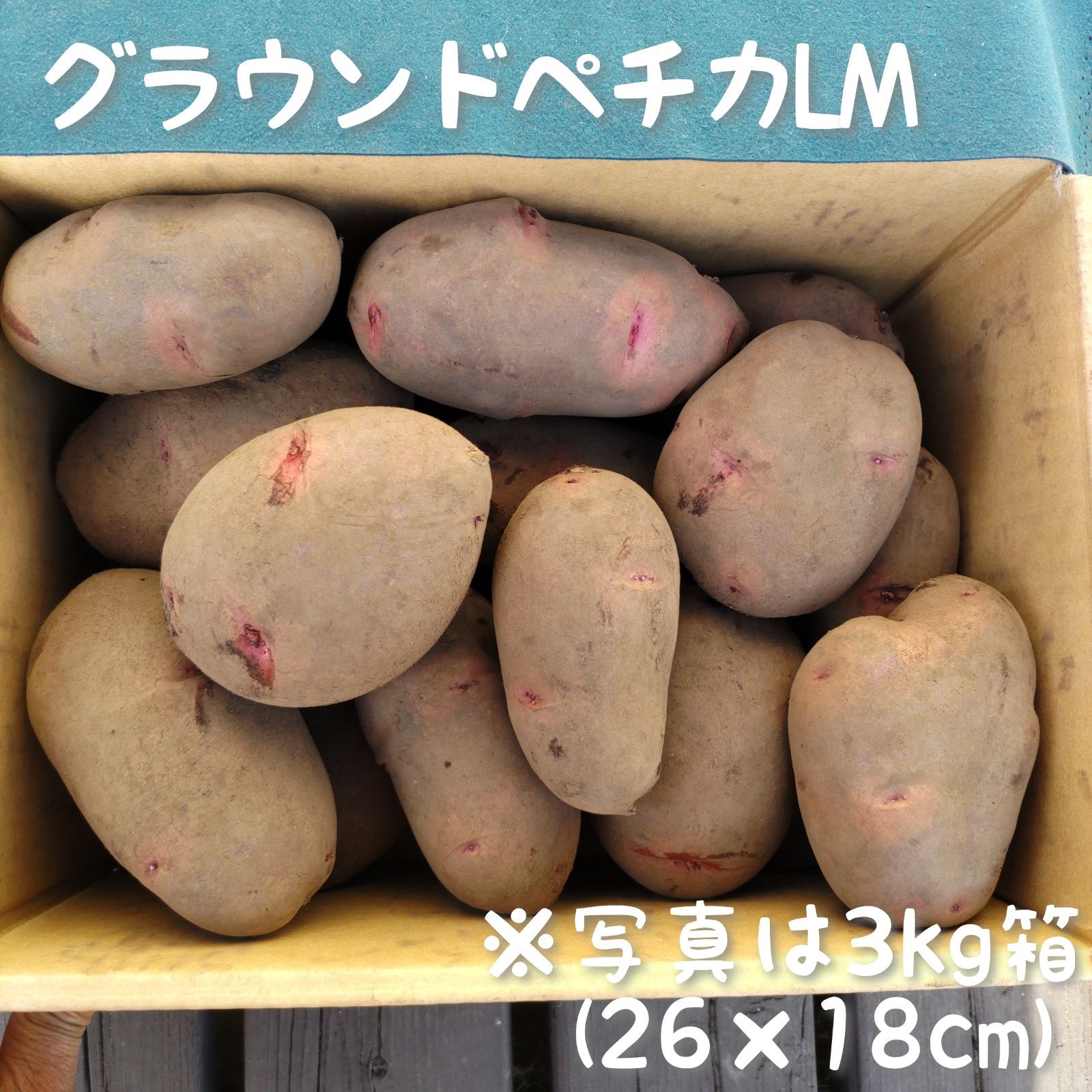 北海道産 グラウンドペチカ(デストロイヤー) 10kg 越冬じゃがいも