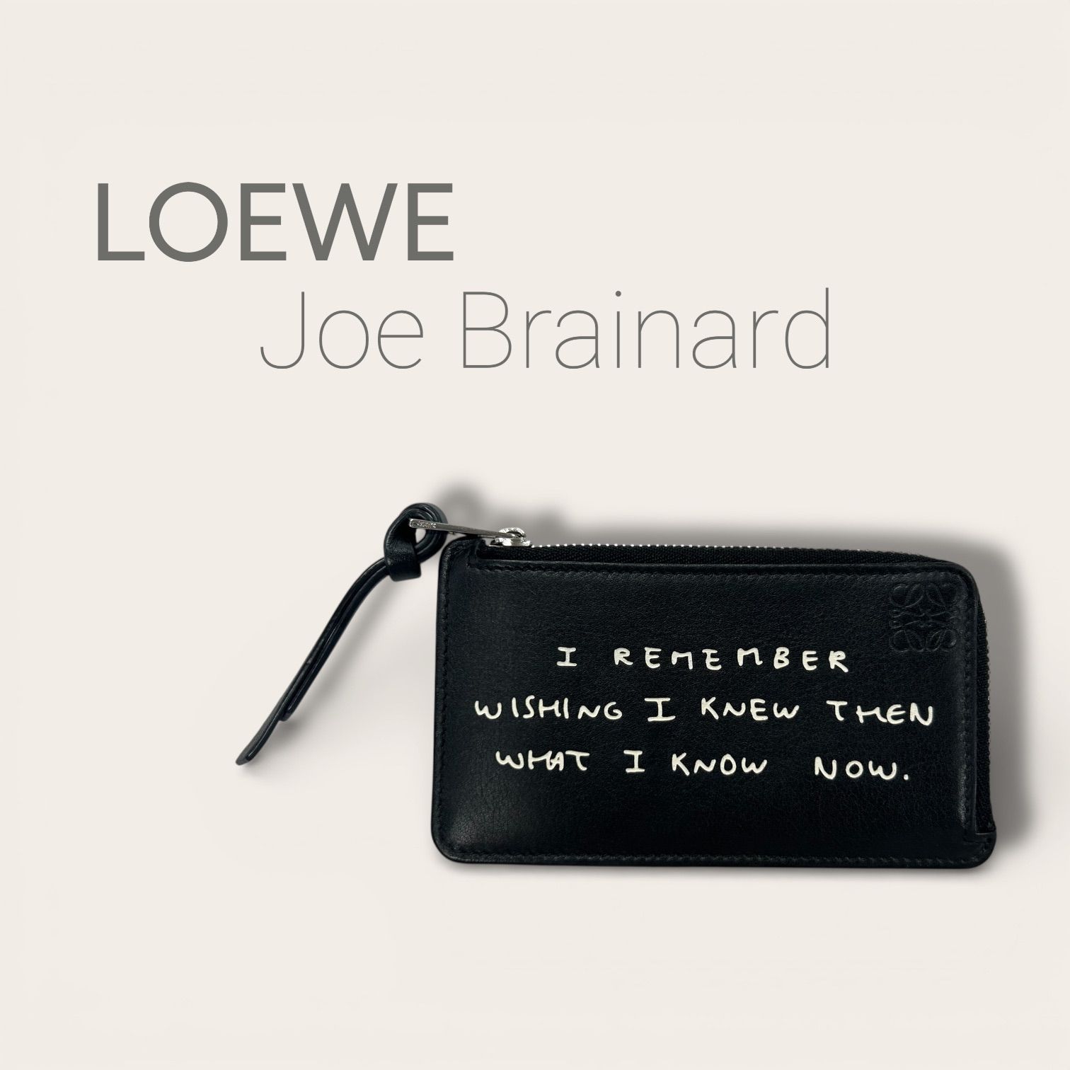 新品⭐️LOEWEフラグメントケース 【公式通販】