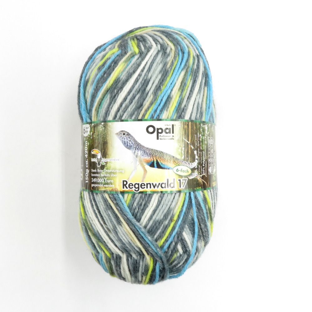 毛糸 Opal オパール Regenwald17 レーゲンヴァルト 6ply col.11100 1玉