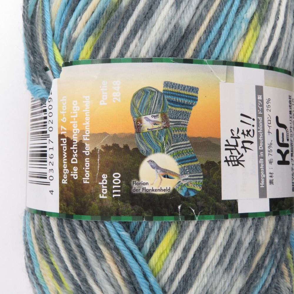 毛糸 Opal オパール Regenwald17 レーゲンヴァルト 6ply col.11100 1玉