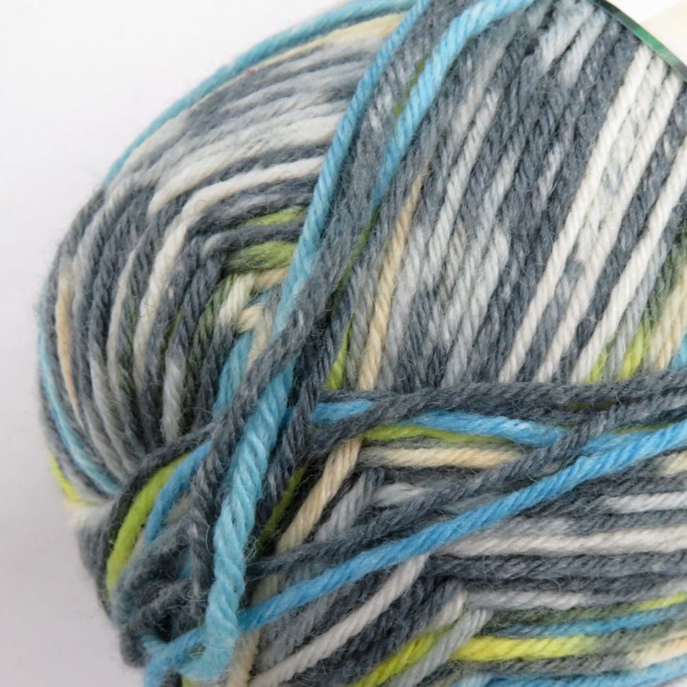 毛糸 Opal オパール Regenwald17 レーゲンヴァルト 6ply col.11100 1玉