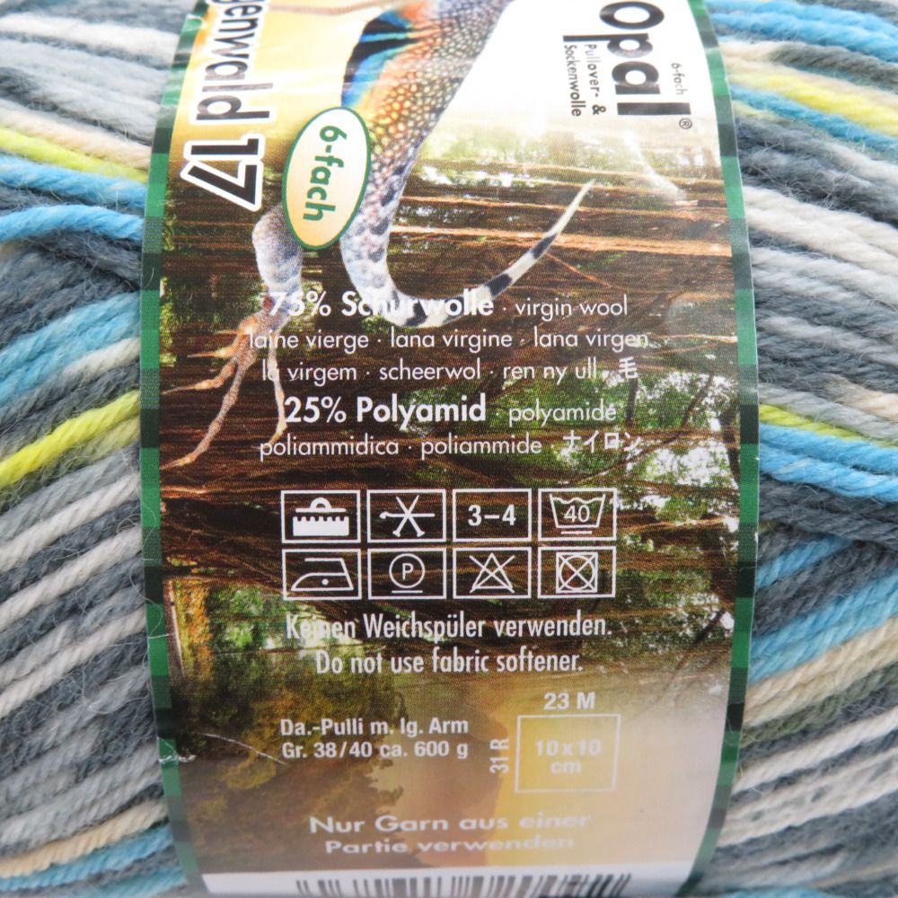 毛糸 Opal オパール Regenwald17 レーゲンヴァルト 6ply col.11100 1玉