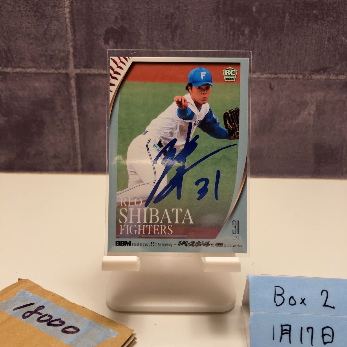 2025 BBM 柴田獅子 47/75 青箔サイン 北海道日本ハムファイターズ 35th