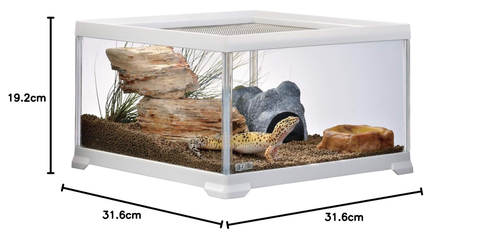 レオパ飼育キットM 爬虫類用ガラスケージ レプテリア 6点スターター
